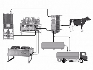 Установка для мгновенного охлаждения молока в потоке