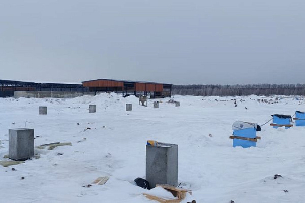 Возводим каркасы помещений молочно-товарной фермы в Тульской области