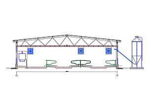 Коровник на 240 дойных коров 