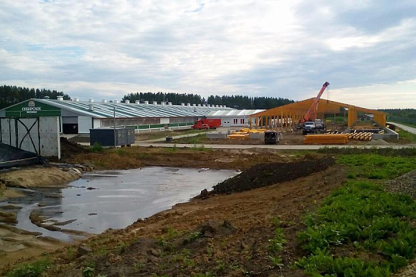 Монтируем каркас в Томской области